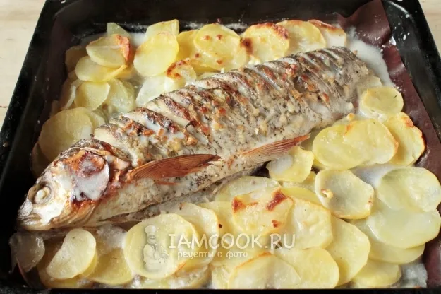 Шаг 6: иллюстрация