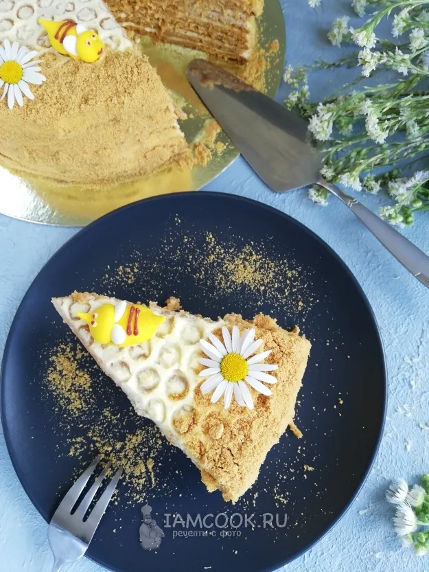 Шаг 15: иллюстрация