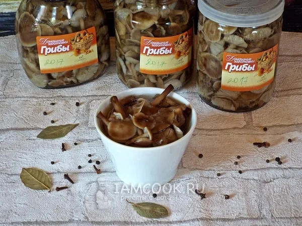 Фото блюда: Маринованные опята «Бабушкины»