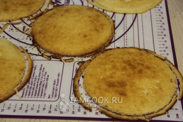 Шаг 12: иллюстрация