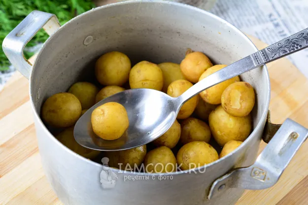 Шаг 3: иллюстрация