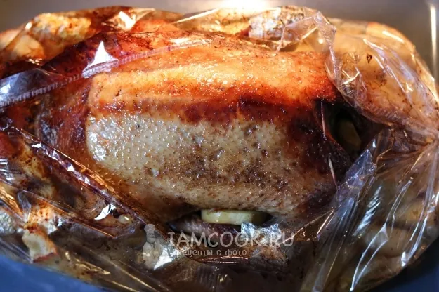 Шаг 10: иллюстрация