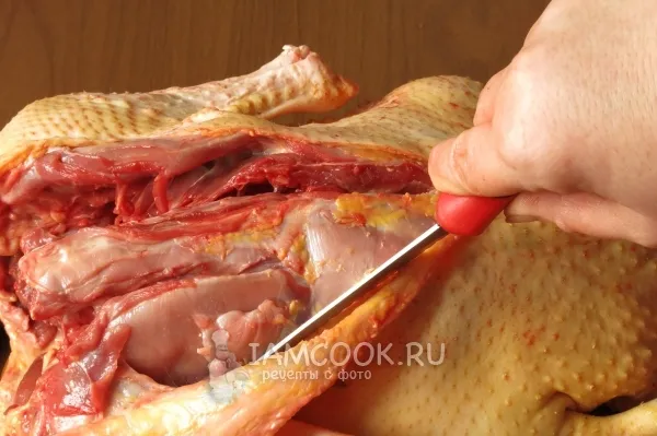 Шаг 4: иллюстрация