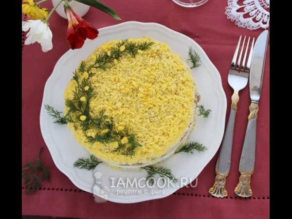 Фото блюда: Салат «Мимоза» с сыром и сливочным маслом