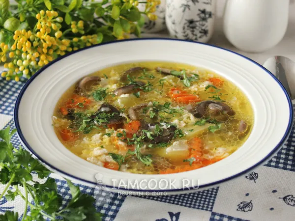 Фото блюда: Суп из соленых груздей по-арзамасски