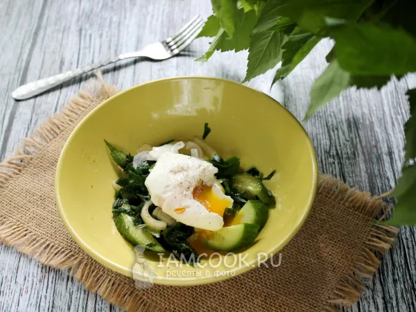 Фото блюда: Салат из сныти с яйцом