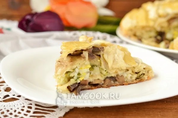 Шаг 15: иллюстрация