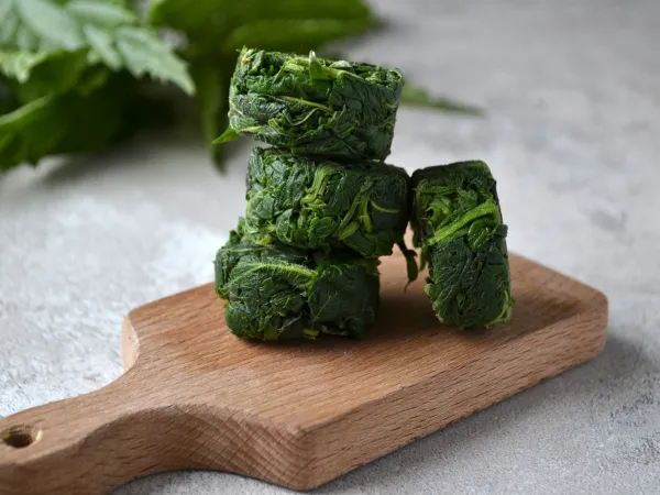 Фото блюда: Заготовка крапивы на зиму для супа