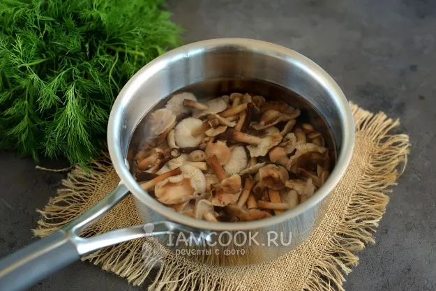 Шаг 2: иллюстрация