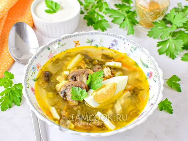 Фото блюда: Щавелевый суп с грибами