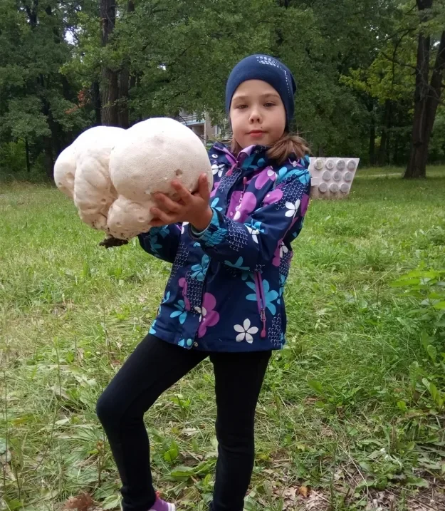 Шаг 1: иллюстрация