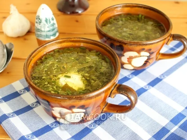 Фото блюда: Суп с курицей и щавелем