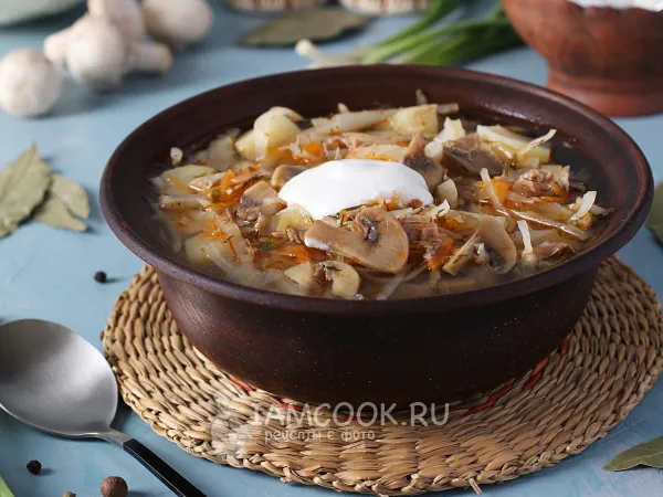 Фото блюда: Щи с капустой, мясом и грибами