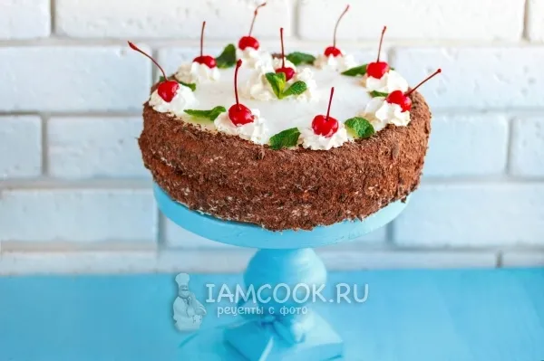 Шаг 15: иллюстрация