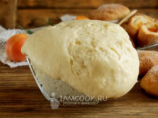 Фото блюда: Дрожжевое тесто для пирожков на кефире