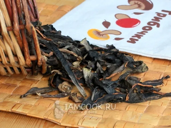 Фото блюда: Сушка грибов в сушилке