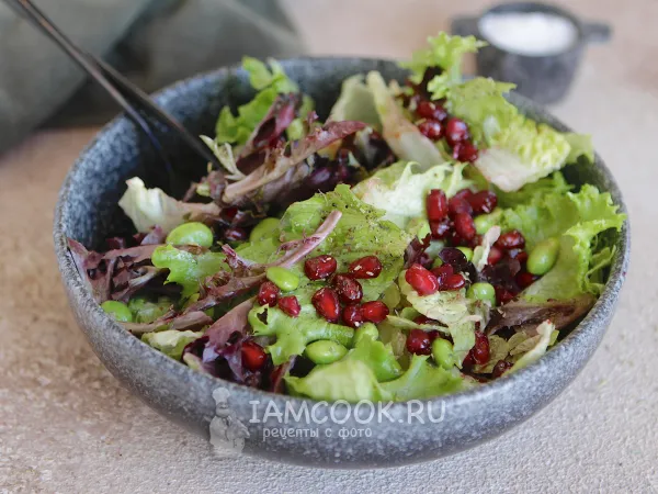 Фото блюда: Зеленый салат с гранатом