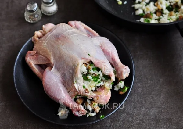 Шаг 6: иллюстрация