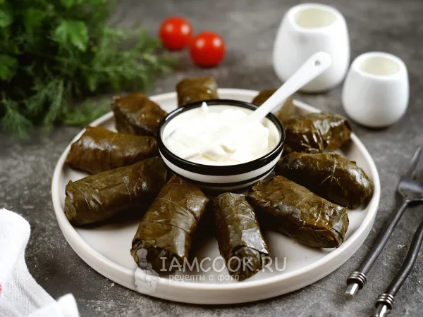Фото блюда: Долма с индейкой