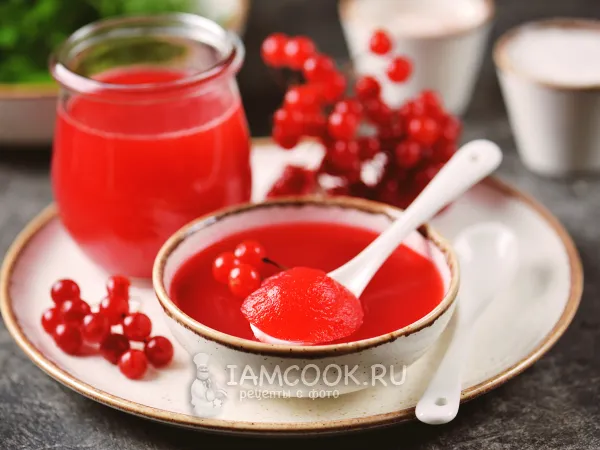Фото блюда: Желе из калины без косточек без варки