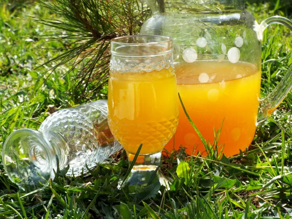 Фото блюда: Квас из березового сока (старинный рецепт)