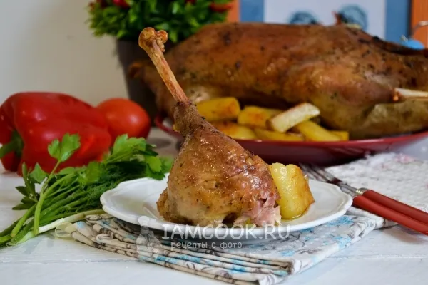 Шаг 15: иллюстрация