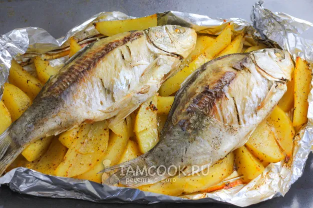 Шаг 6: иллюстрация