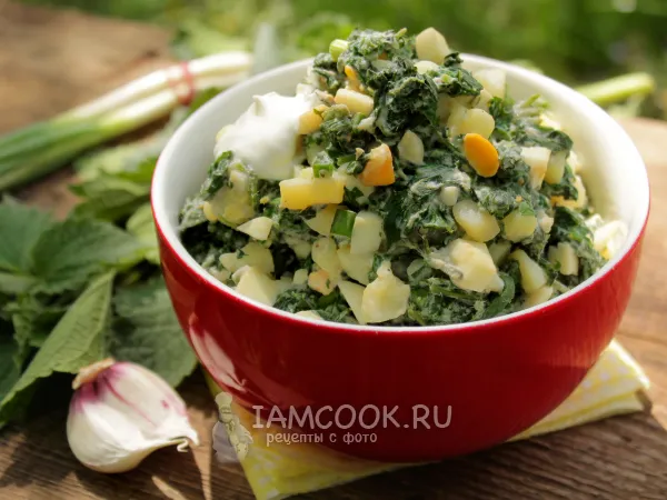 Фото блюда: Салат из крапивы с яйцом и картофелем (со сметаной)