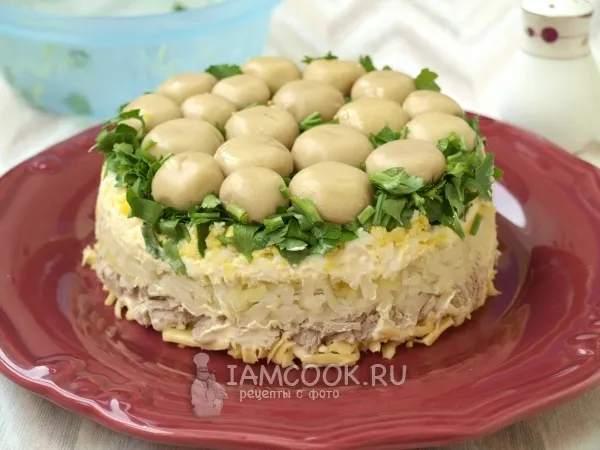 Шаг 12: иллюстрация