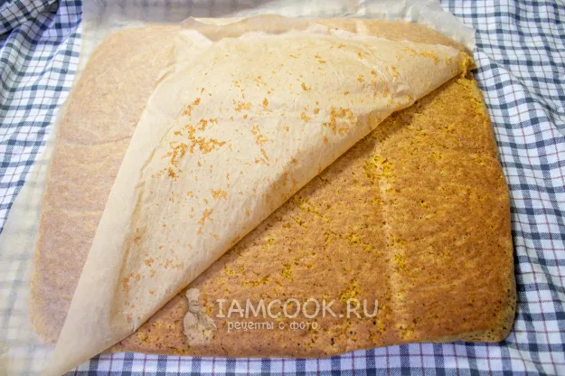 Шаг 12: иллюстрация