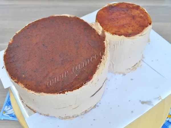 Шаг 12: иллюстрация