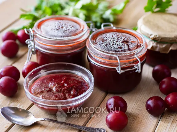 Фото блюда: Аджика из красной алычи на зиму