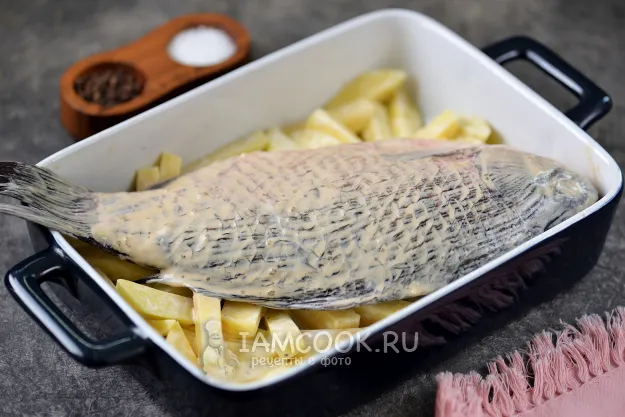 Шаг 5: иллюстрация