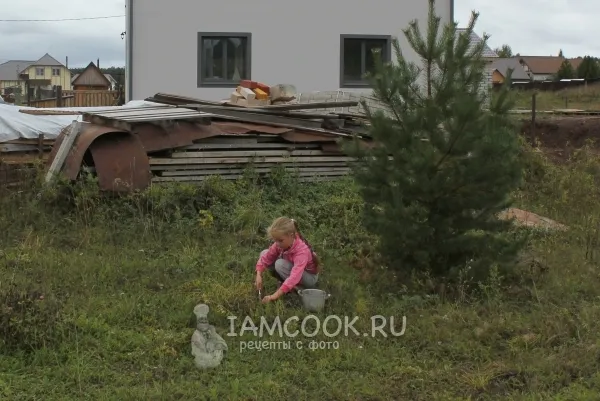 Шаг 1: иллюстрация