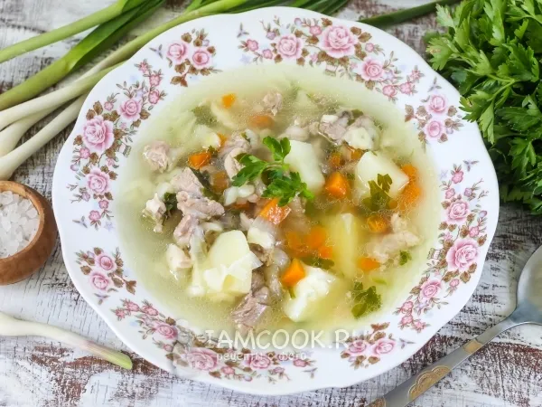 Фото блюда: Суп из индейки в мультиварке