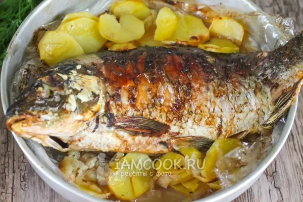 Шаг 5: иллюстрация