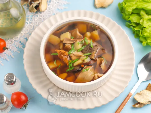 Фото блюда: Похлебка из белых грибов