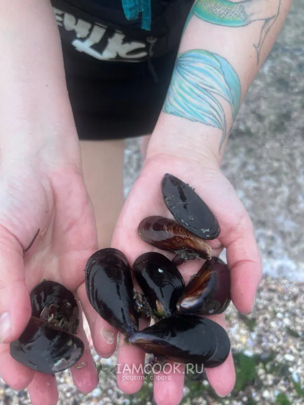 Шаг 2: иллюстрация