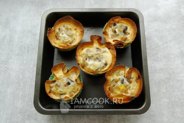 Шаг 12: иллюстрация