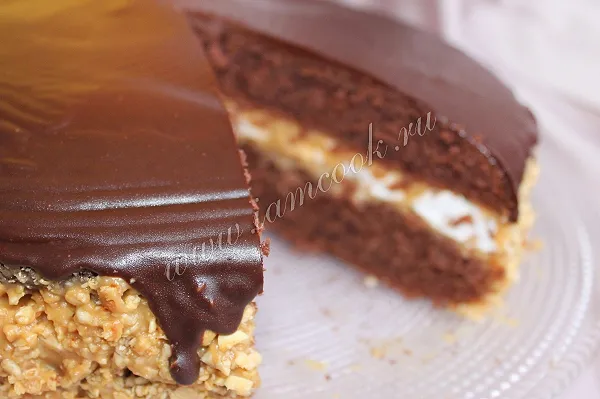 Шаг 15: иллюстрация