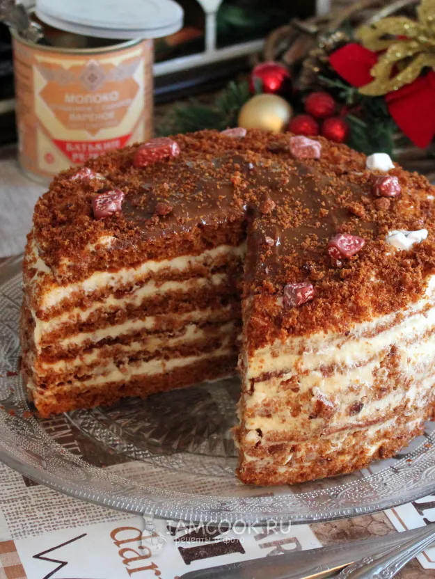 Шаг 16: иллюстрация