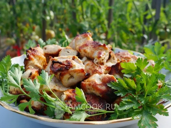 Фото блюда: Шашлык из куриной грудки