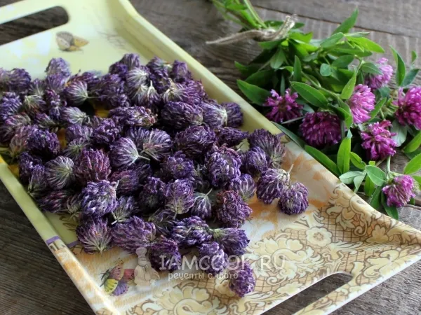 Фото блюда: Сушка клевера