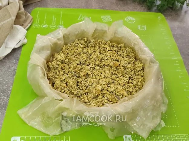 Шаг 15: иллюстрация