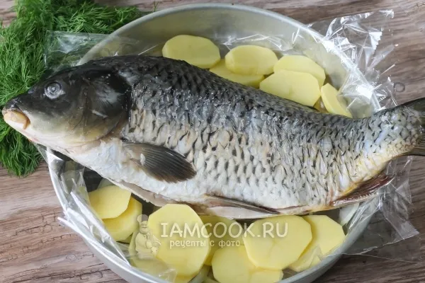 Шаг 4: иллюстрация