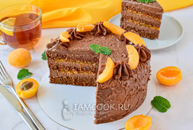 Шаг 17: иллюстрация