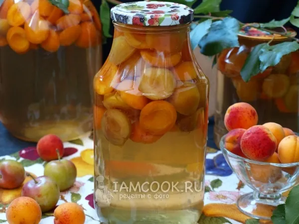 Фото блюда: Компот из сливы и абрикоса на зиму