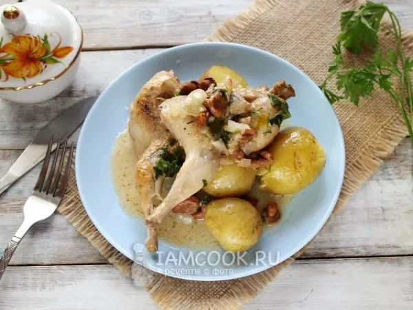 Фото блюда: Перепела в сметане