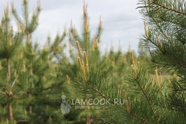 Шаг 2: иллюстрация