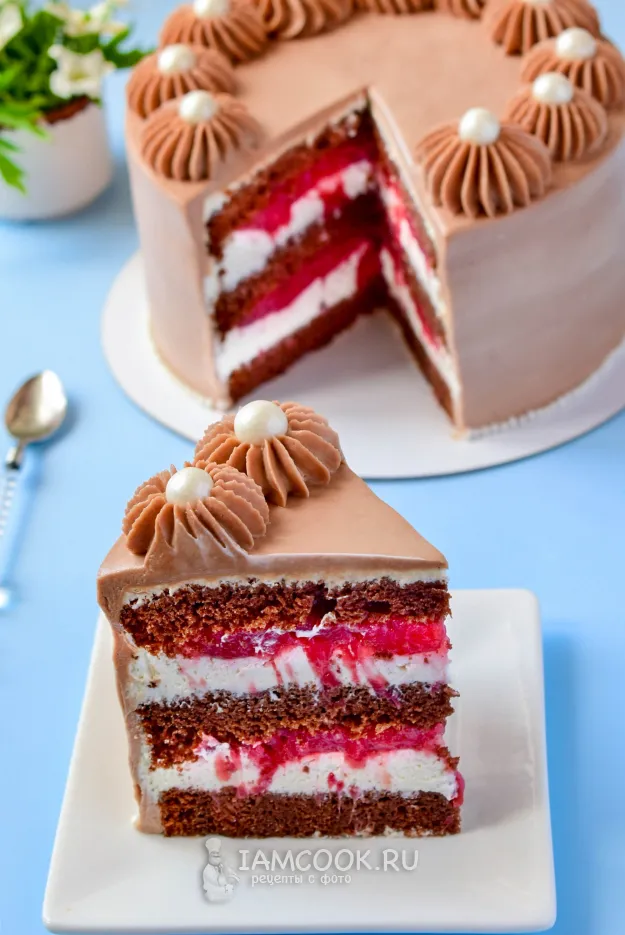 Шаг 18: иллюстрация